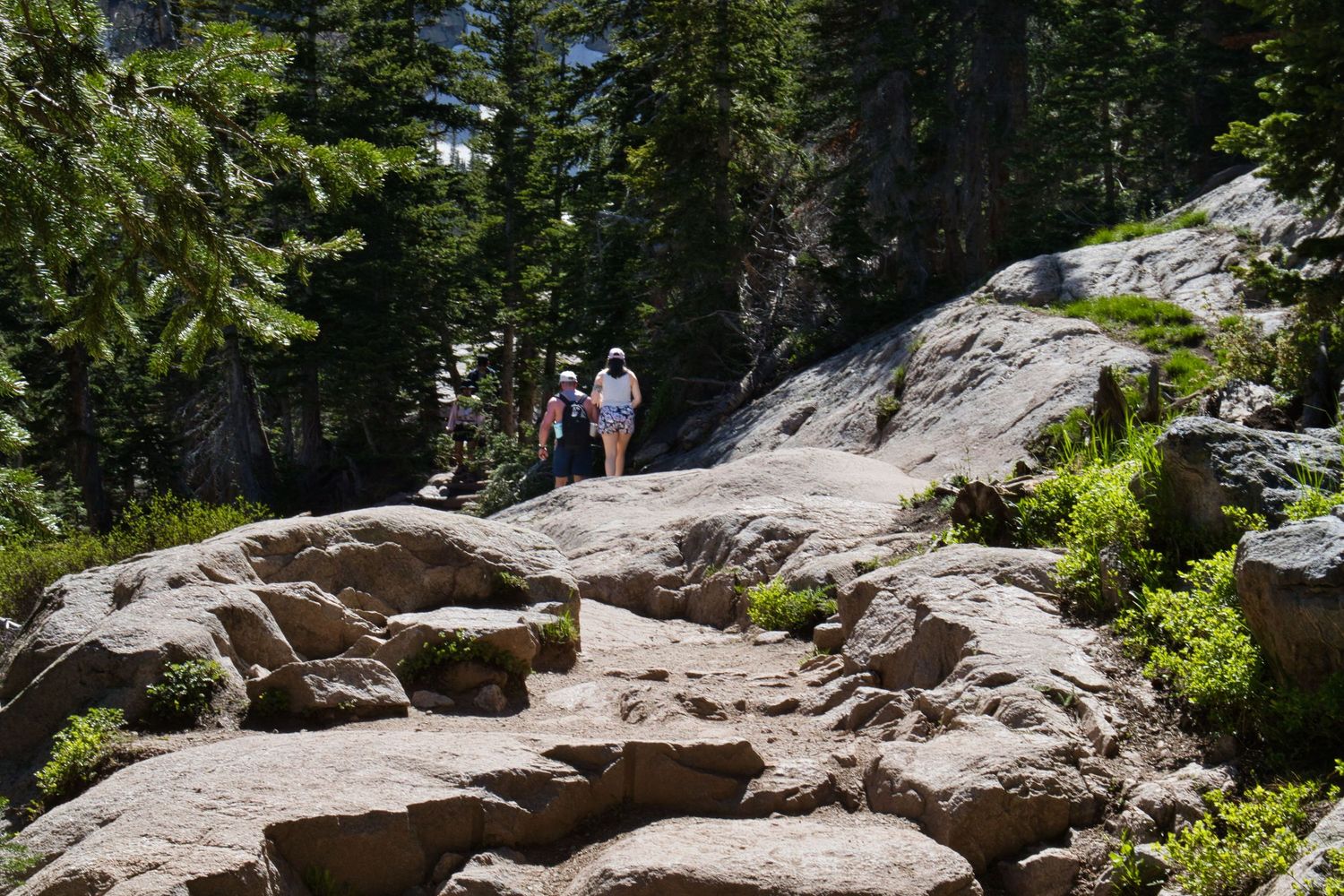 Couple walking up the Emerald Lake trail. She has no clue that he is about to propose. Photographer: Pixcapades