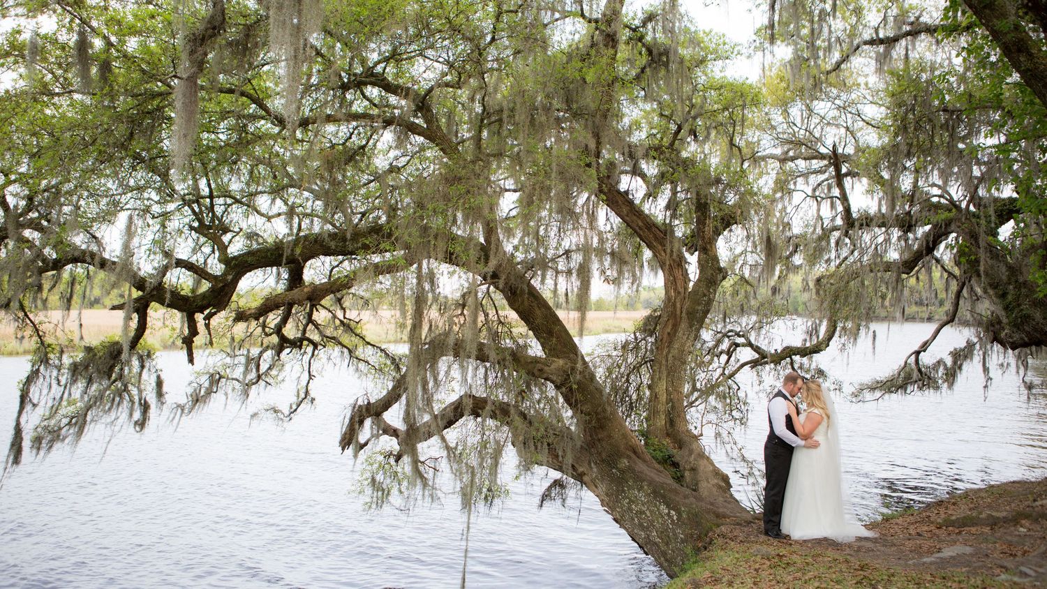 Bride and groom kissing under a sprawling moss-draped oak tree by a tranquil lake at an outdoor wedding.