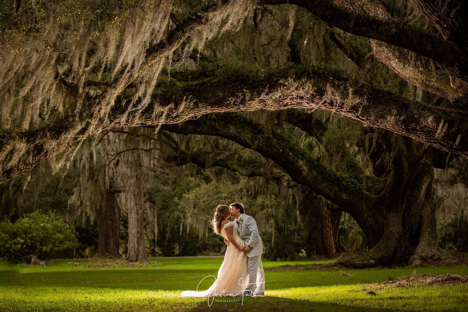 Bride and groom share a romantic kiss under sprawling moss-draped oak trees on lush green grounds.