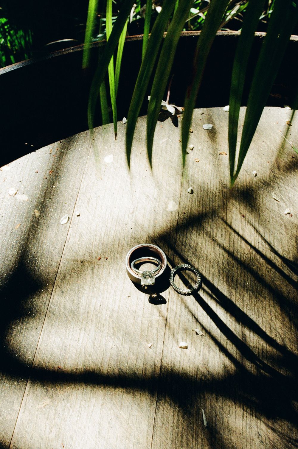 film photo of wedding rings in california coast