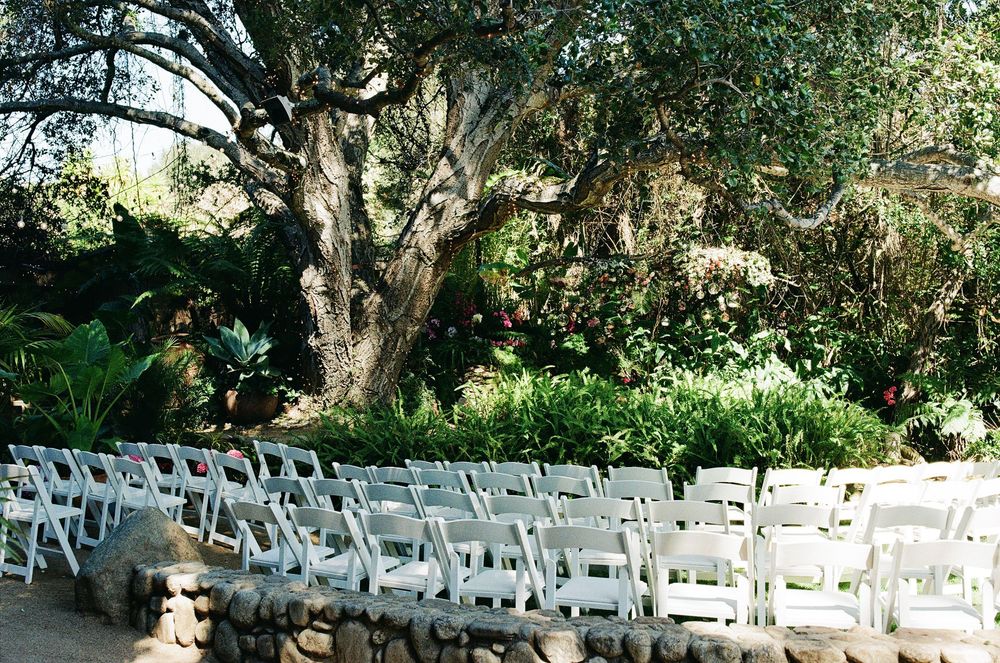 garden estate wedding in California shows garden photography on film