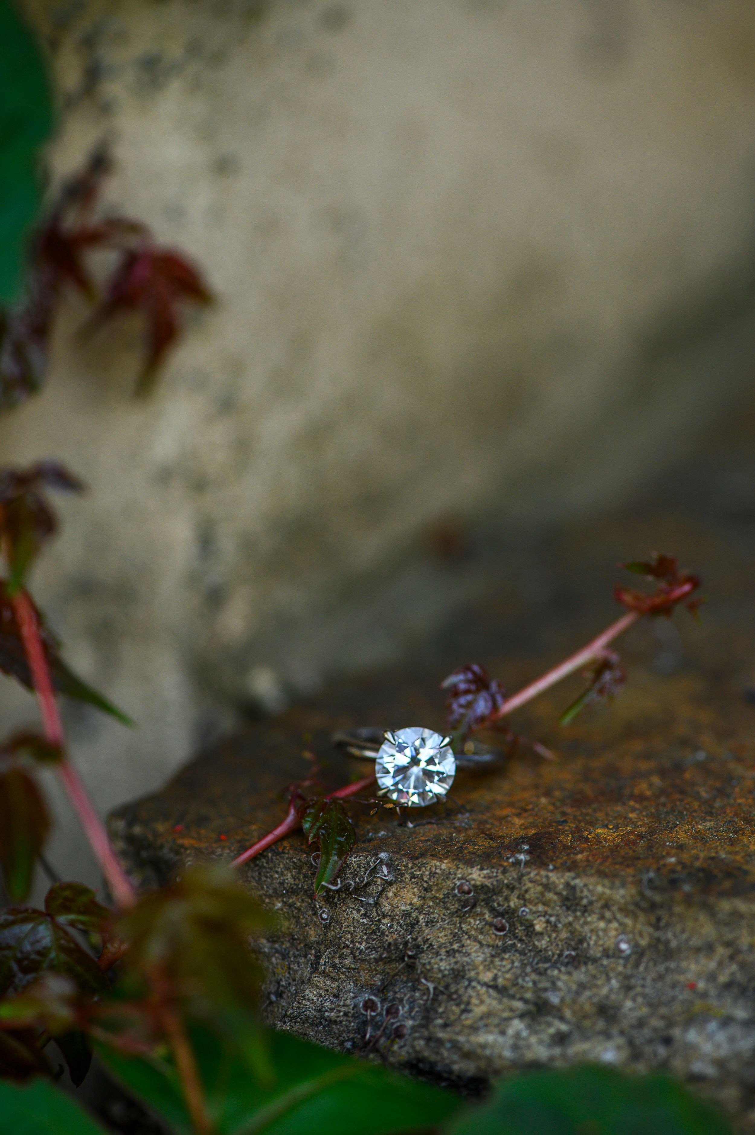 A sparkling round diamond solitaire engagement ring resting on a mossy rock surrounded by red ivy leaves.