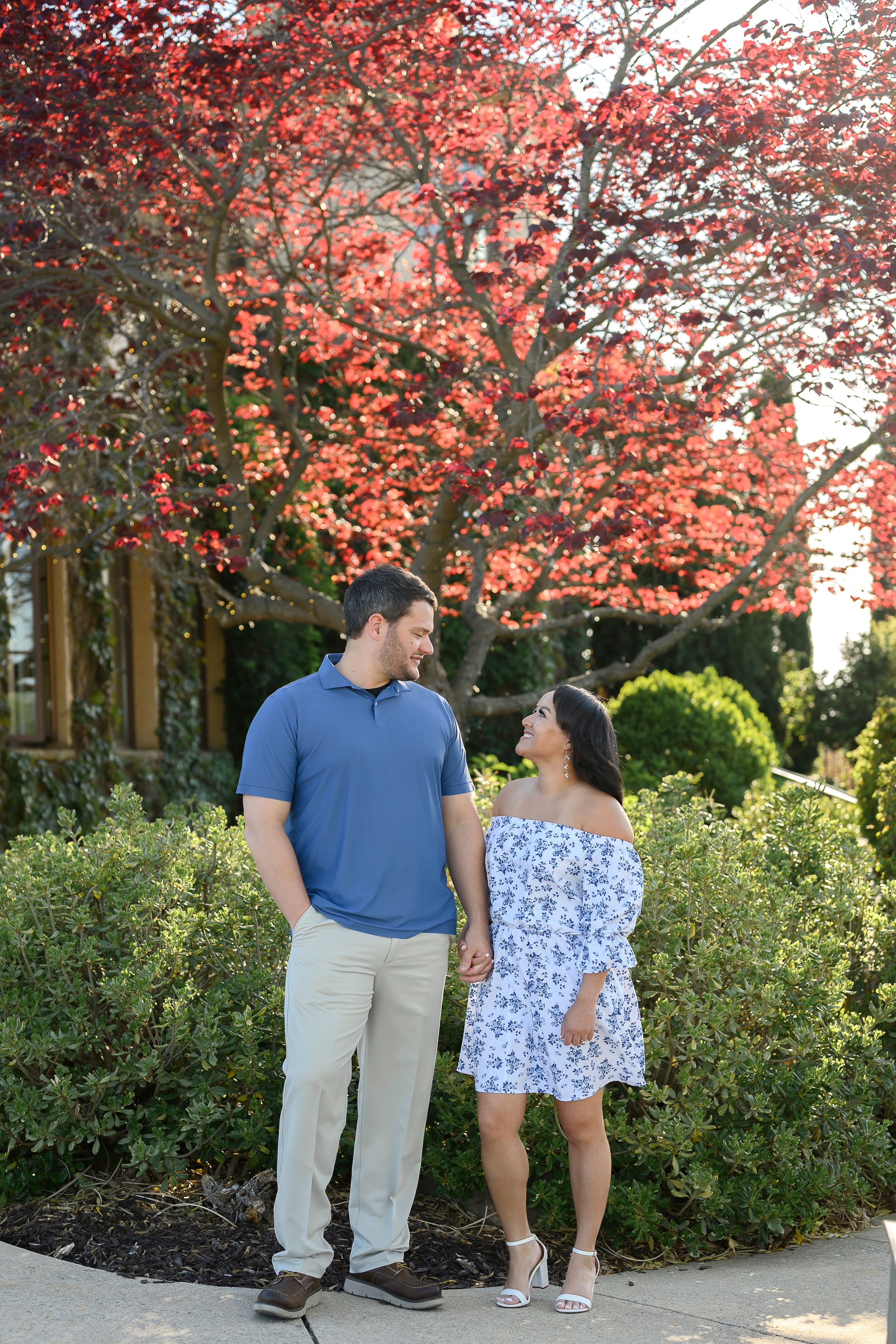 A couple holds hands and gazes at each other in front of a vibrant red tree surrounded by lush green shrubs.