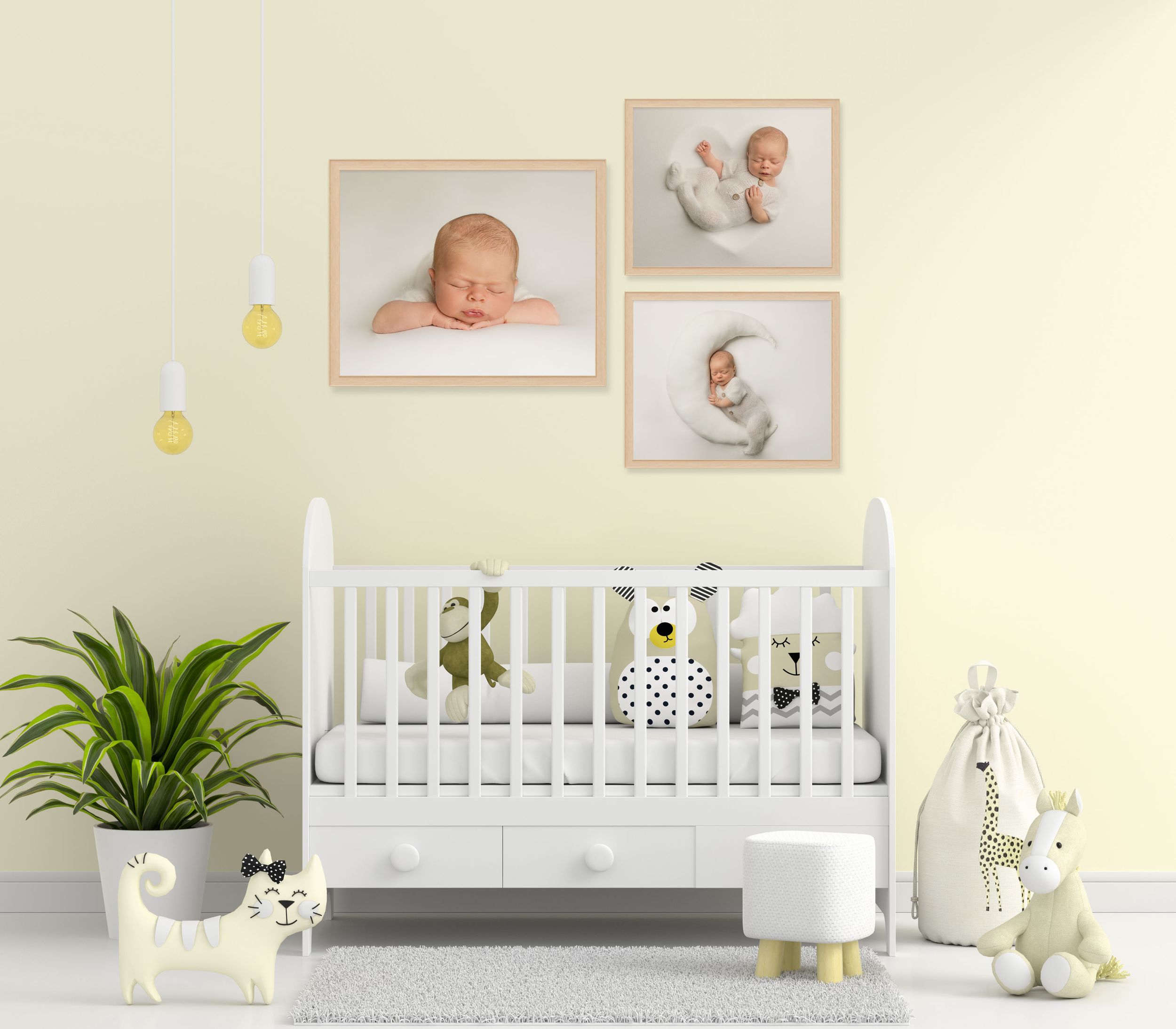 best Lakewood NJ portrait studio, best Toms River photographer, best Lakewood NJ photography studio