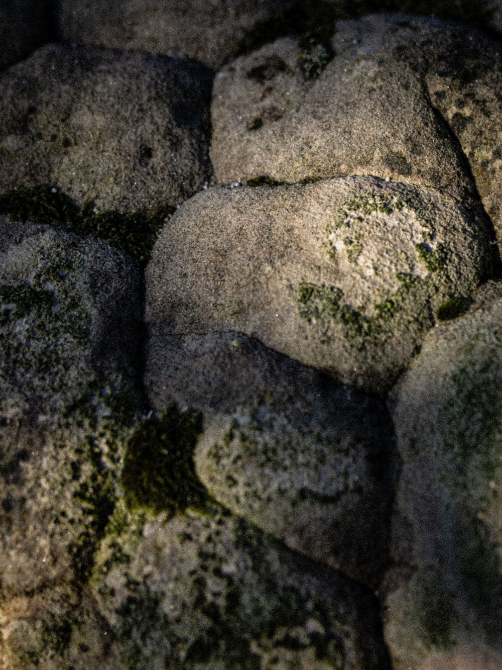 Close-up texture of Fontainebleau sandstone, Forêt de Fontainebleau, France. Detail from the Tenaya Aruma campaign by Jan Virt.