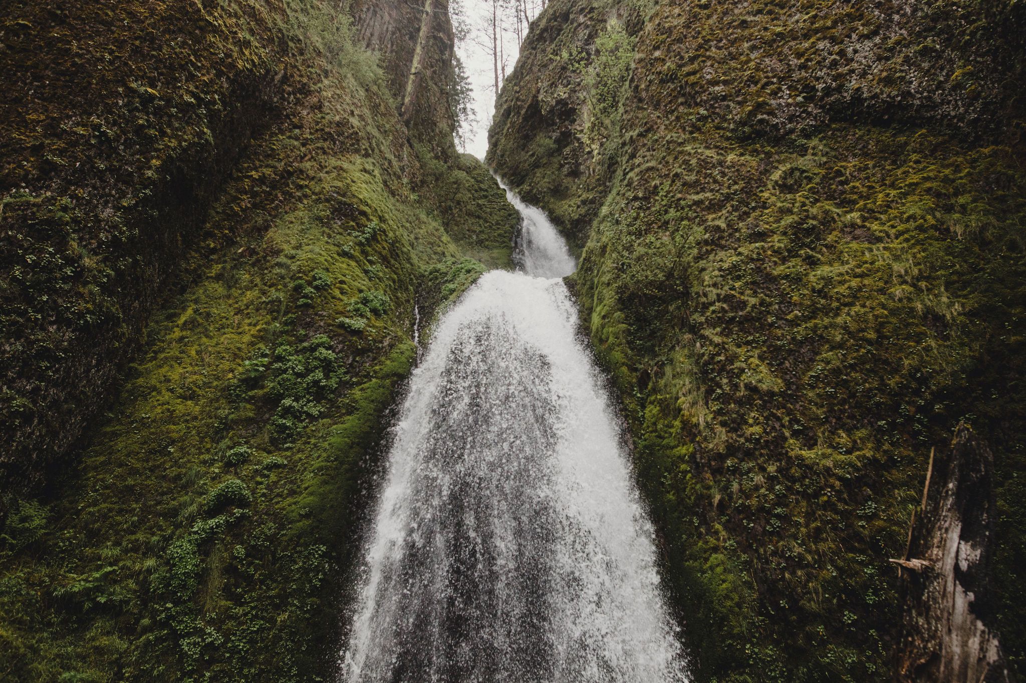 A cascading waterfall flows between moss-covered rocky walls in a lush green forest canyon.