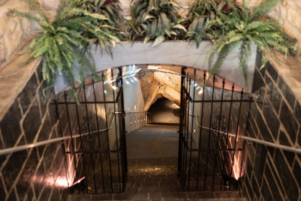 Stone tunnel entrance with iron gates, lush ferns, and warm accent lighting creating a mysterious cave-like atmosphere.