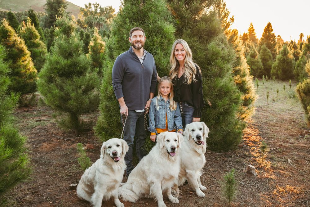 Christmas tree farm mini session in redlands ca with heidi grace photography