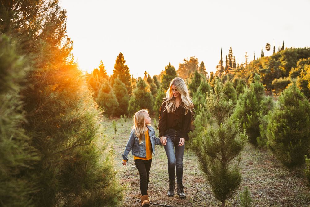 Mother and daughter walking hand in hand through a sunlit Christmas tree farm at golden hour.