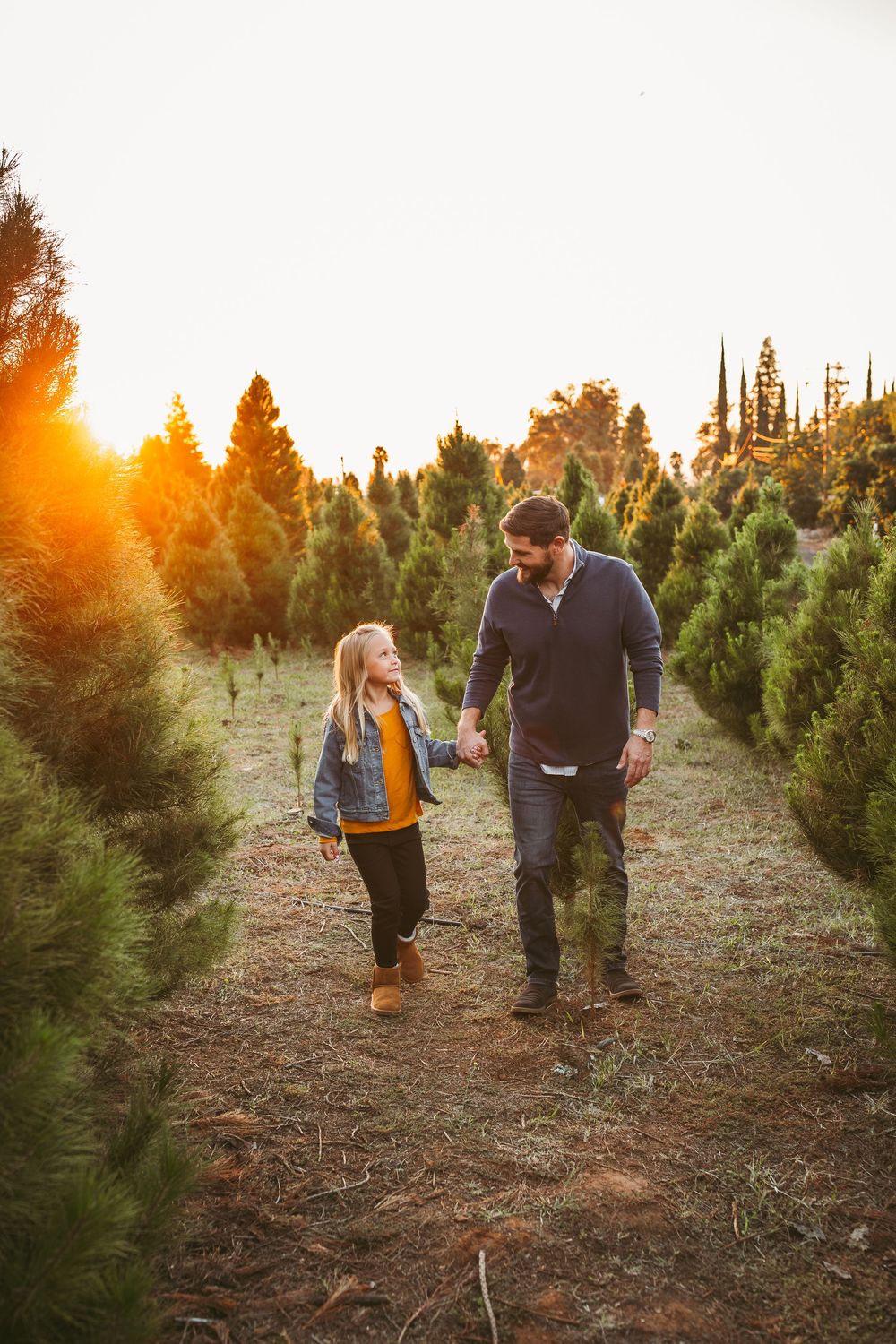 A man and young girl hold hands walking through rows of Christmas trees at golden hour on a tree farm.