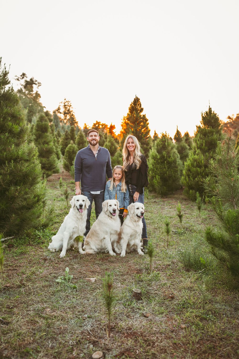 a family photo shoot with family photographer heidi grace photography in the inland empire ca