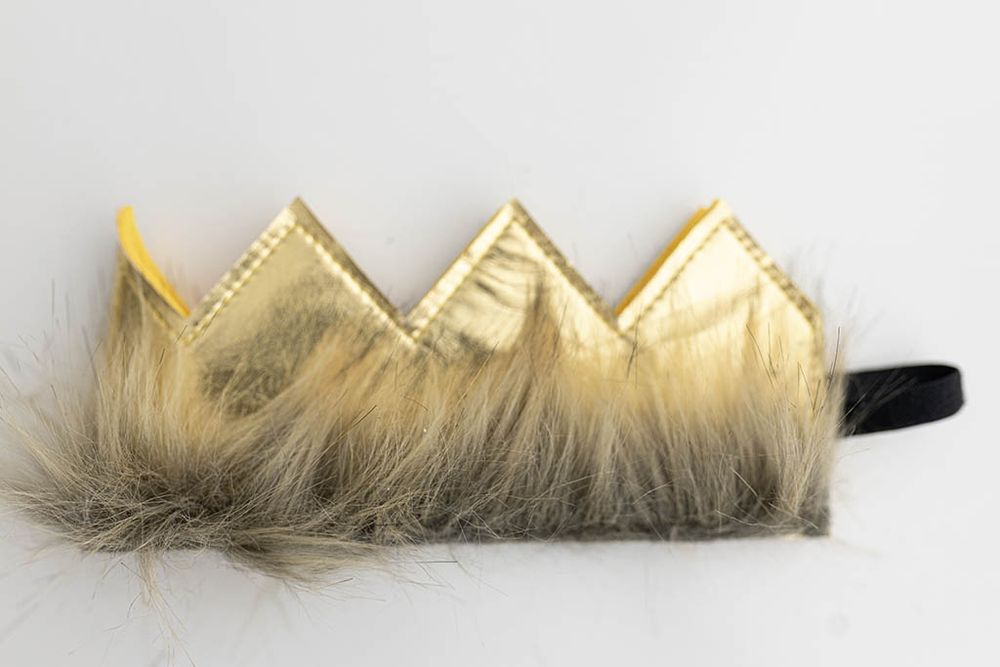 Wild One crown for 1st birthday photoshoot in Murrieta.