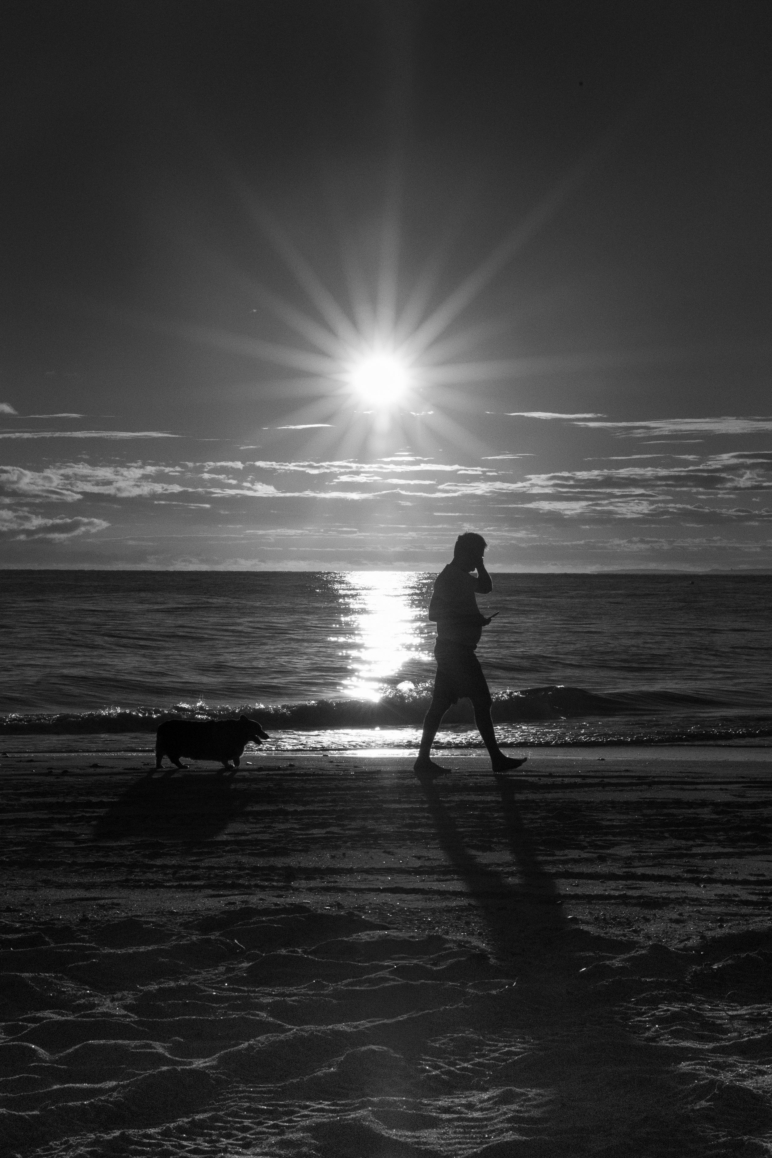 Black and white photo of a person jogging with a dog on a beach at sunset, silhouetted against the bright sun.