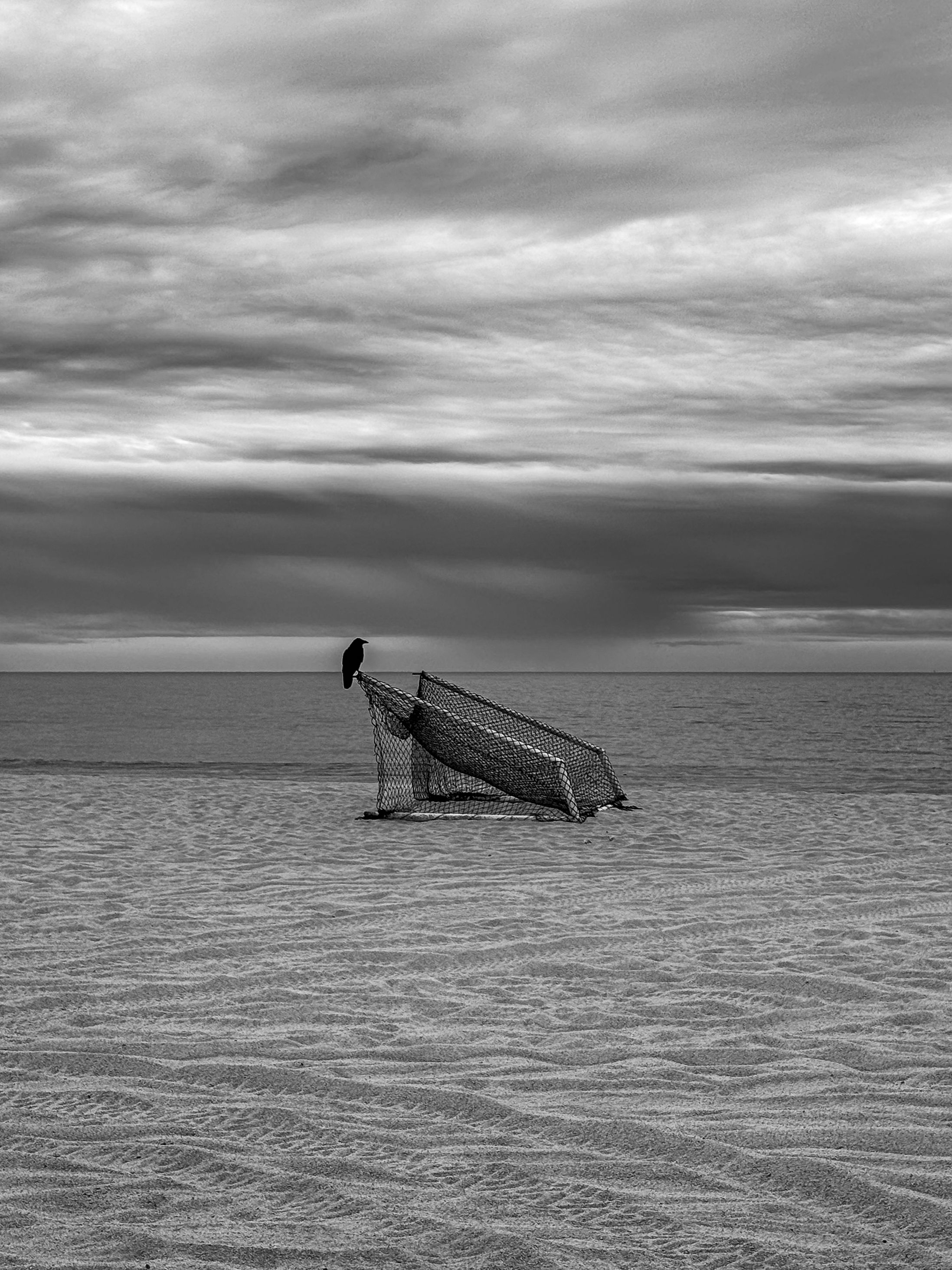 A lone crow perches on a tilted beach net on an empty sandy shore under stormy skies.