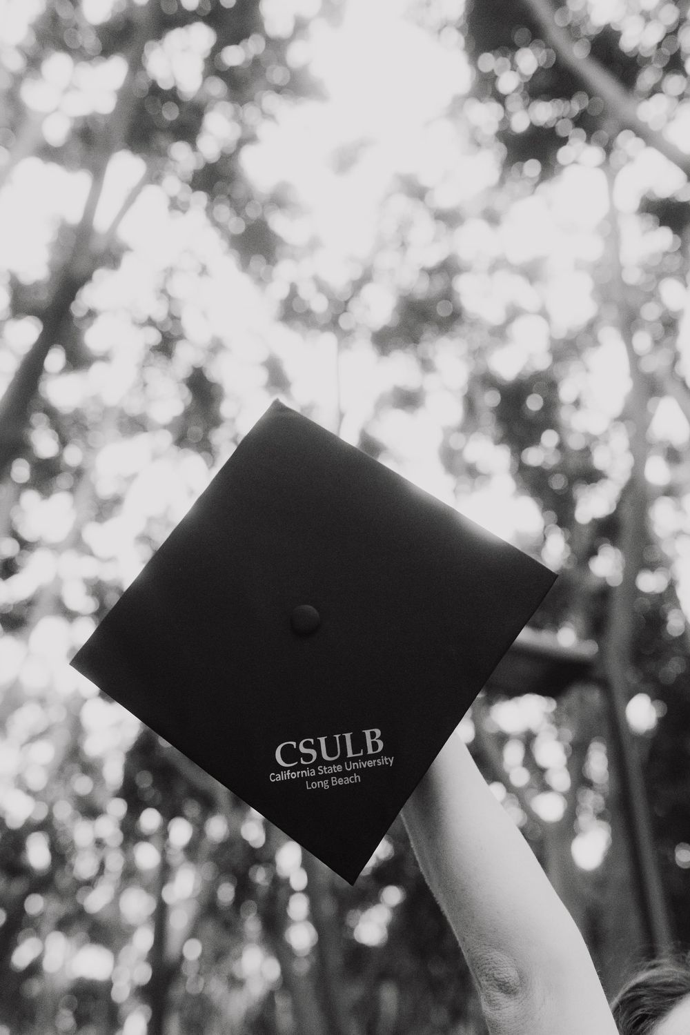Hand holding a CSULB California State University Long Beach graduation cap up toward sunlit trees in black and white.