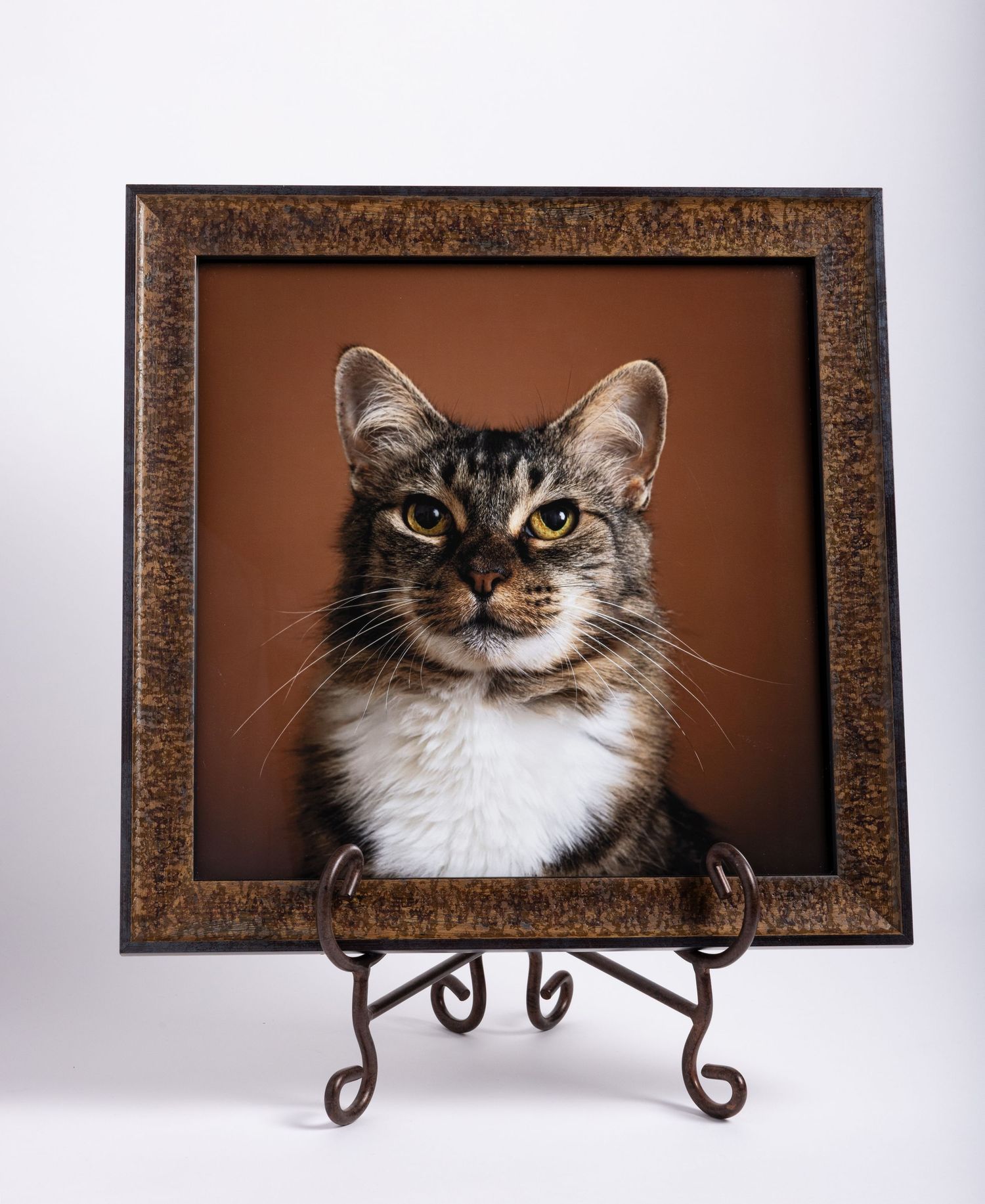 A tabby cat portrait displayed in an ornate brown picture frame on a decorative metal easel stand.