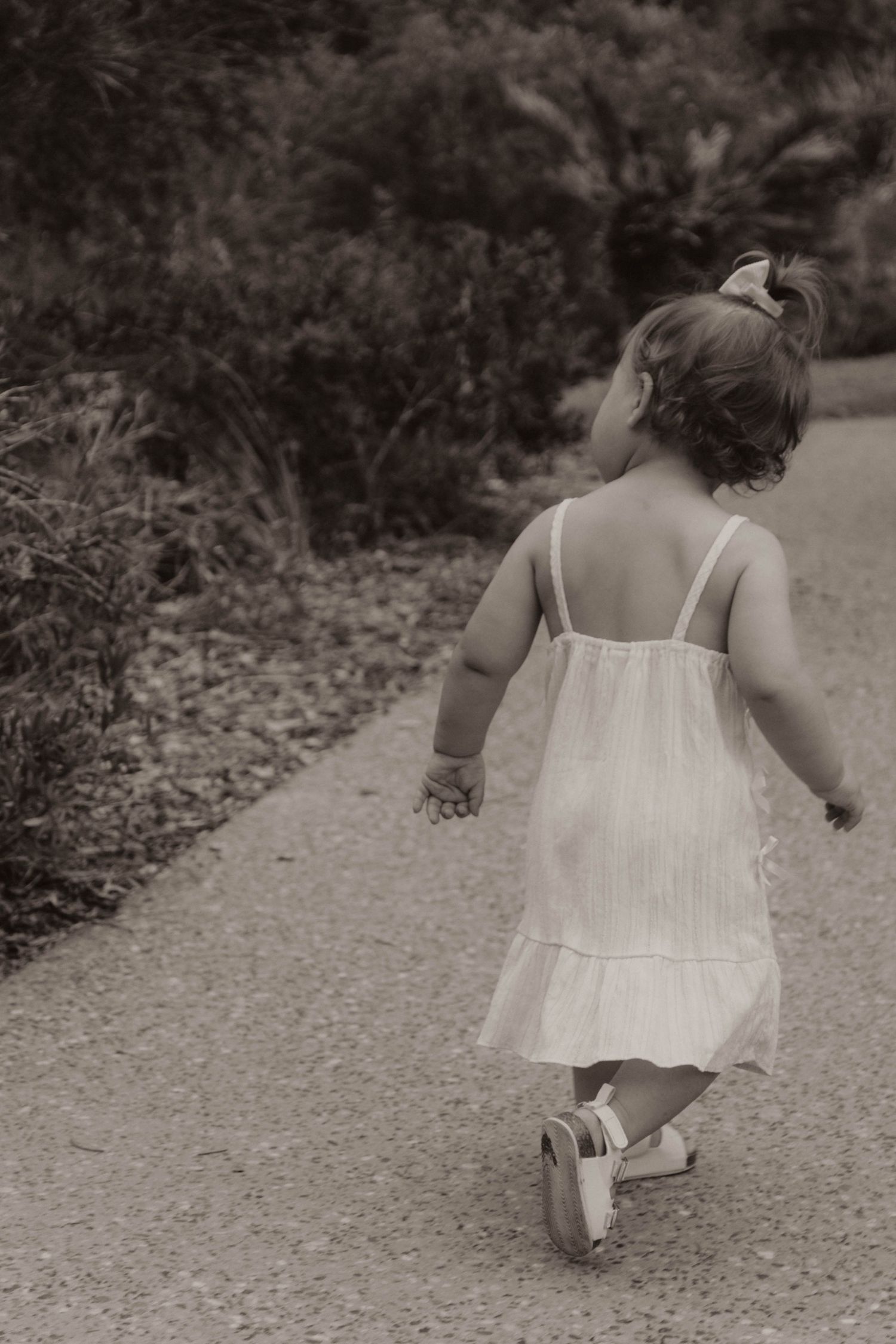 Adorable toddler girl in a white sundress walking independently down a garden path from behind.