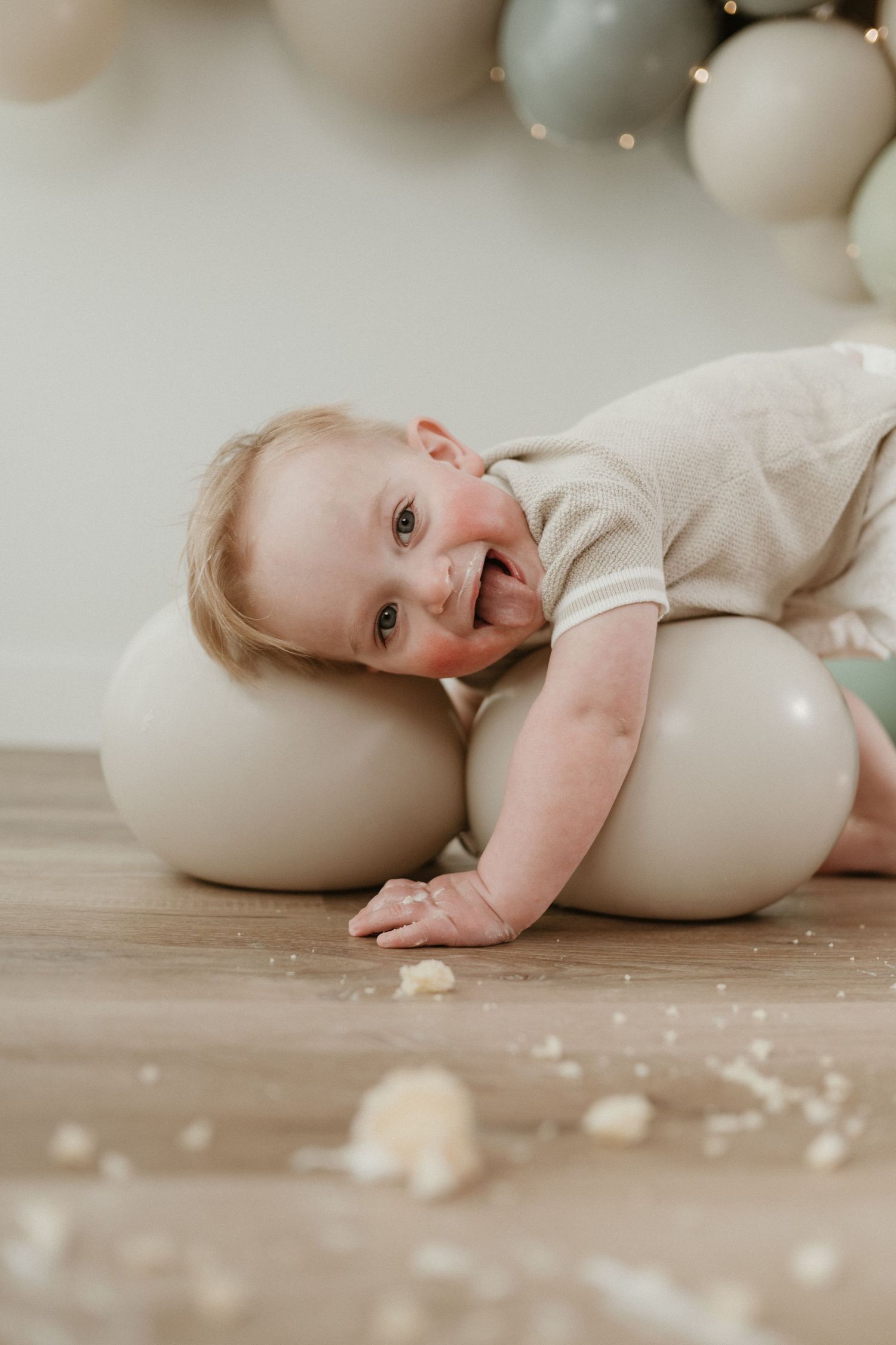 Regina cake smash studio photography. Weyburn cake smash photography. Regina photography studio. Weyburn cake smash photography studio.