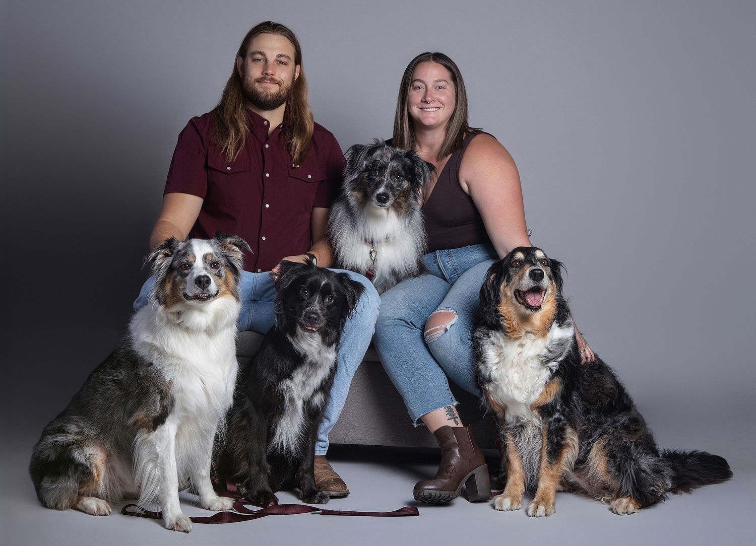 A couple poses with four Australian Shepherd dogs in a professional studio portrait against a gray background.
