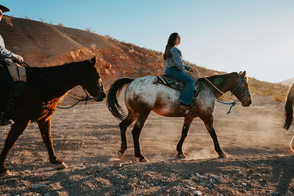 Woman in blue dress riding a spotted horse in a dusty desert landscape.