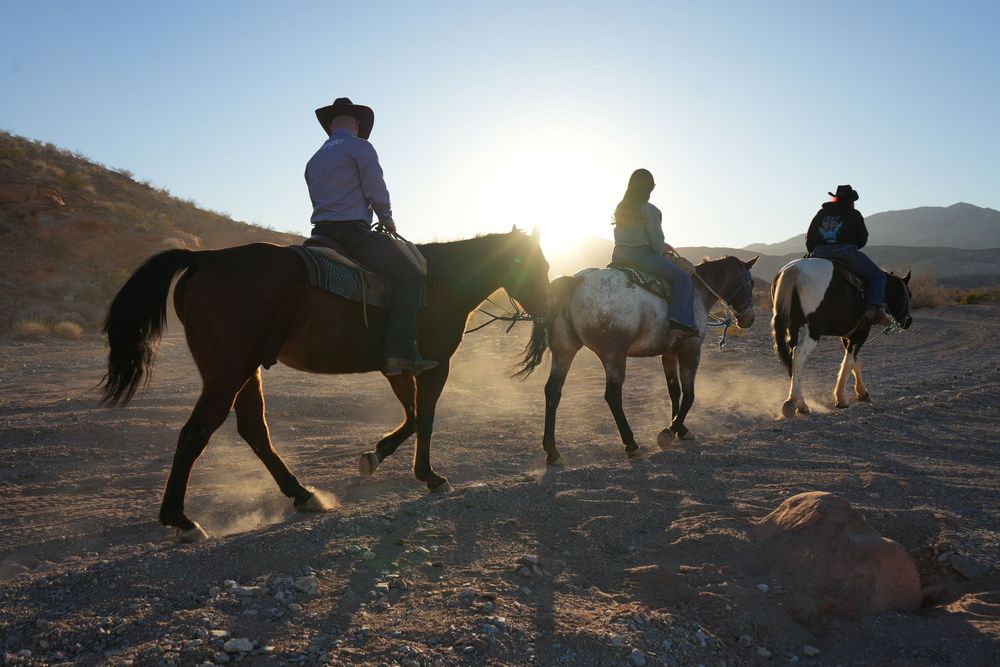 Three horseback riders silhouetted against a golden sunset in a desert setting.