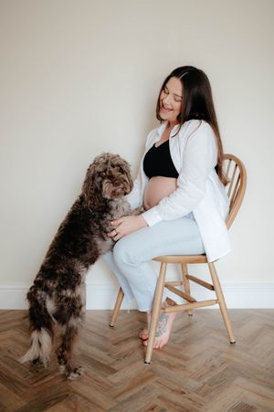 A brown curly-haired dog interacts playfully with someone sitting on a wooden chair against a white wall.