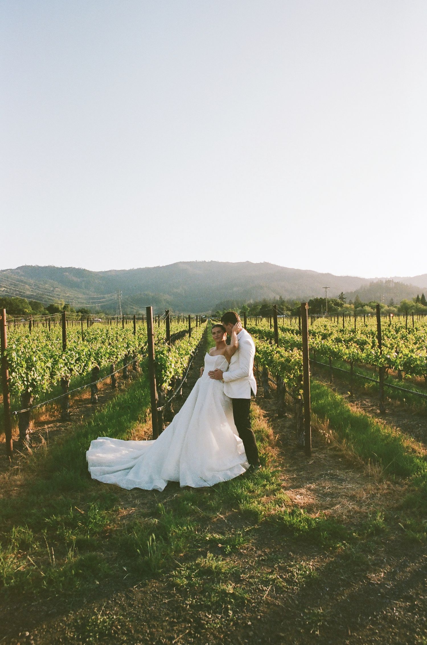 A couple embraces in a romantic moment among the rolling hills and grapevines of a sunlit vineyard.