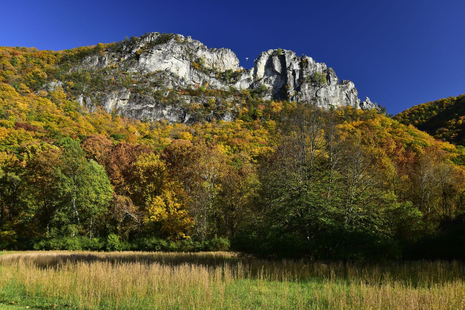 Autumn on Seneca Rocks West Virginia