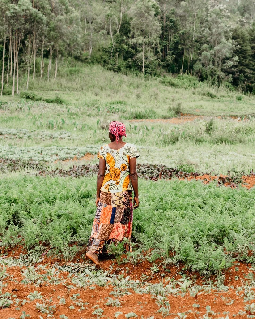 Woman stands in a lush farm field, showing rural agriculture, crop growth and community farming.