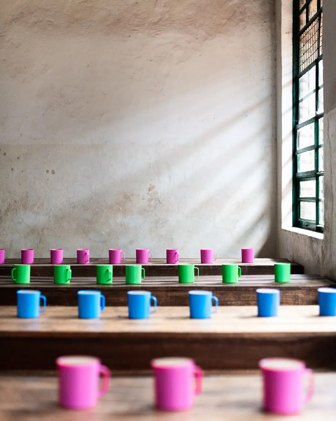 Rows of colourful cups set out for a school feeding programme supporting child nutrition and daily learning.