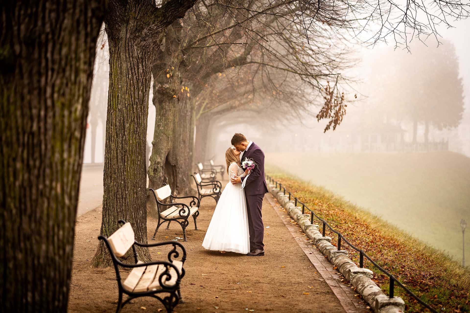A romantic moment captured on a misty path lined with benches and trees in autumn.