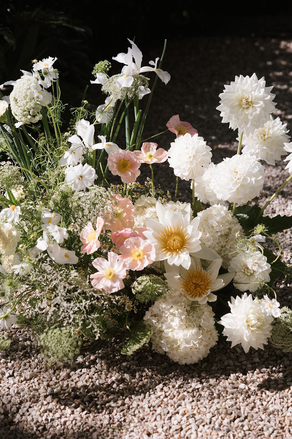 White chrysanthemum flowers and pink blossoms arranged along a gravel path in dappled sunlight.