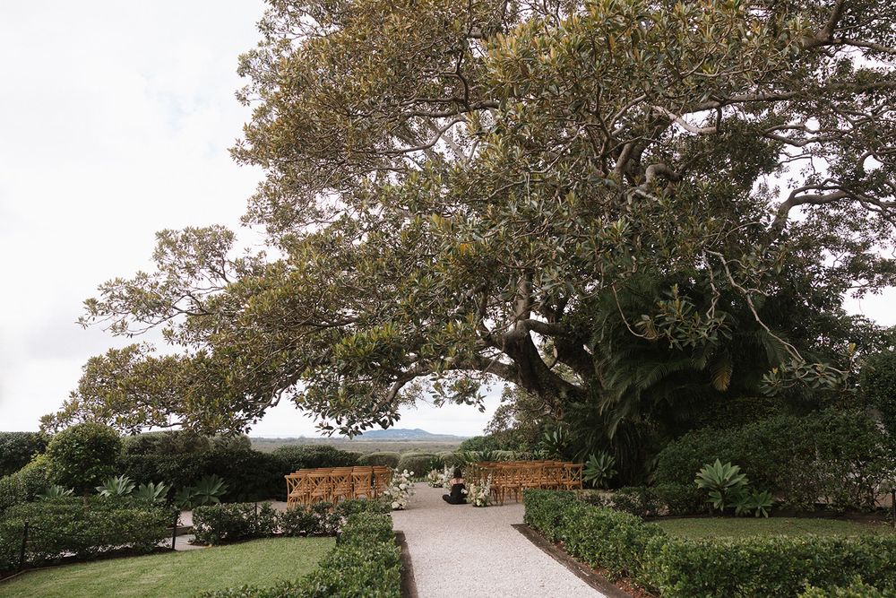 A curved garden path leads under a large spreading oak tree with manicured hedges and landscaping.