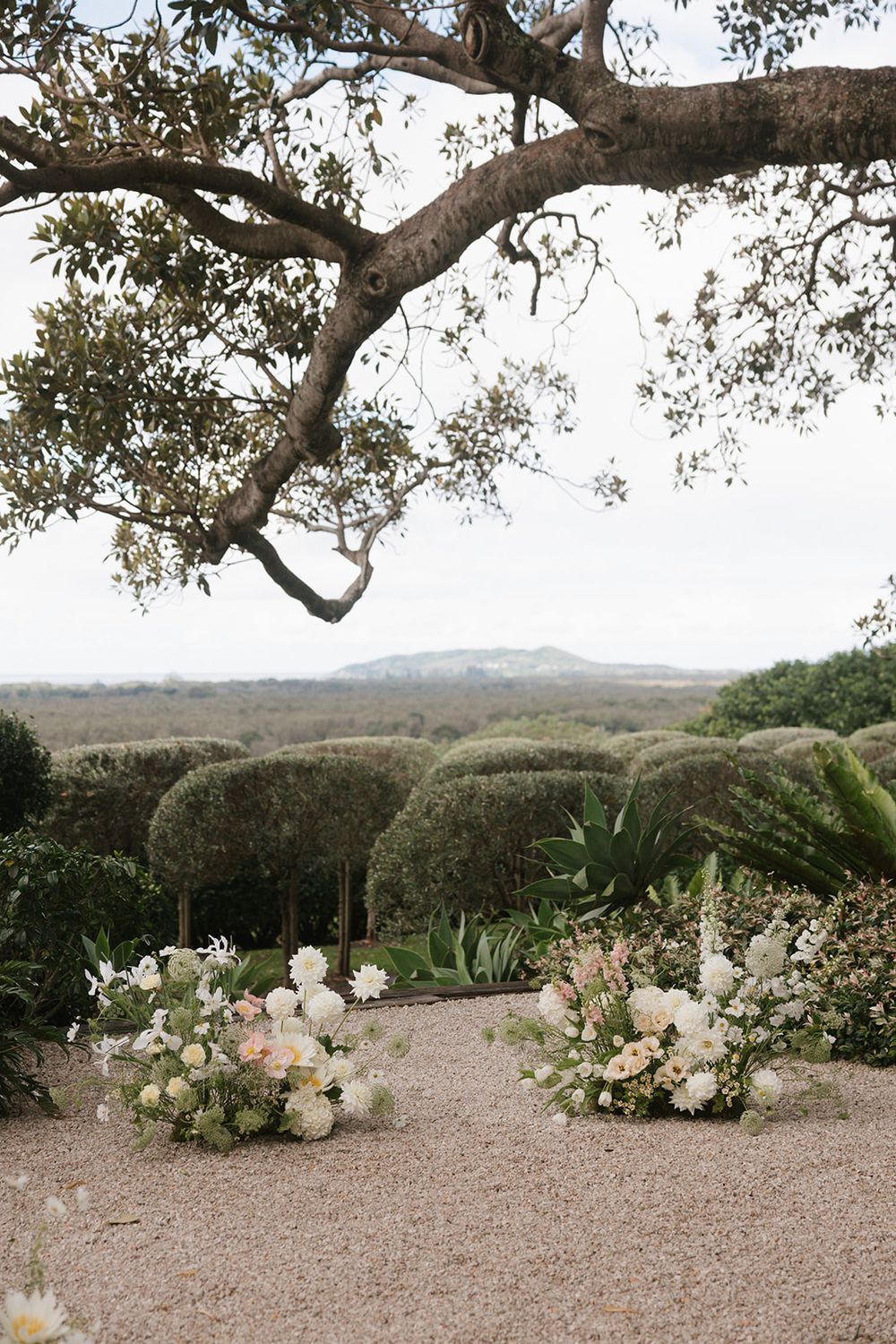 A rustic outdoor wedding ceremony setup with white floral arrangements under a large oak tree overlooking rolling hills.