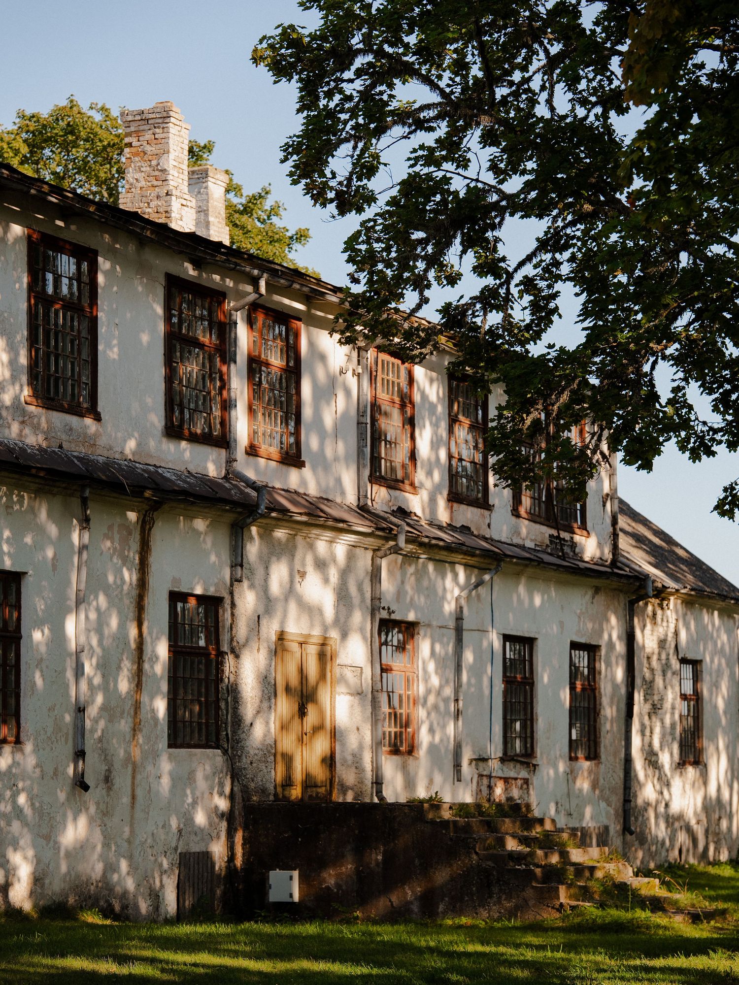 pilguse
pulm
suvi
saaremaa
masha bakhtina