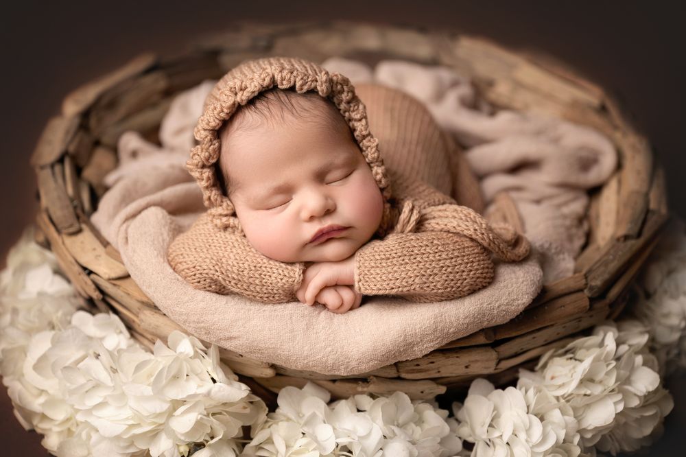 Newborn baby in a brown knit bonnet and outfit sleeping in a rustic basket surrounded by white hydrangea flowers.