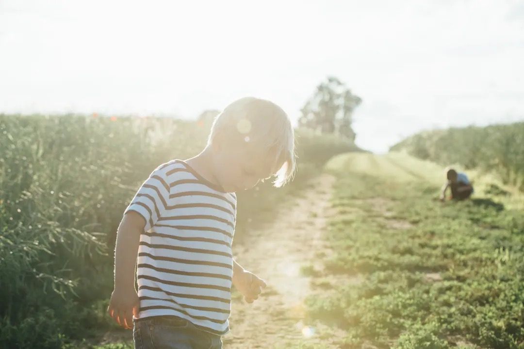 Child walking along a sunny countryside path with fields on either side.