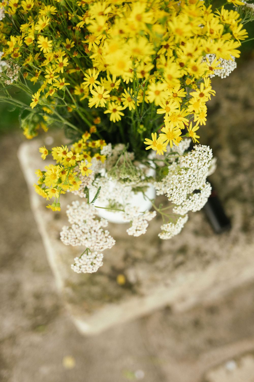 Gros plan sur un bouquet de fleurs champêtres jaunes et blanches pour un mariage à La Ferté-Saint-Aubin en Sologne.