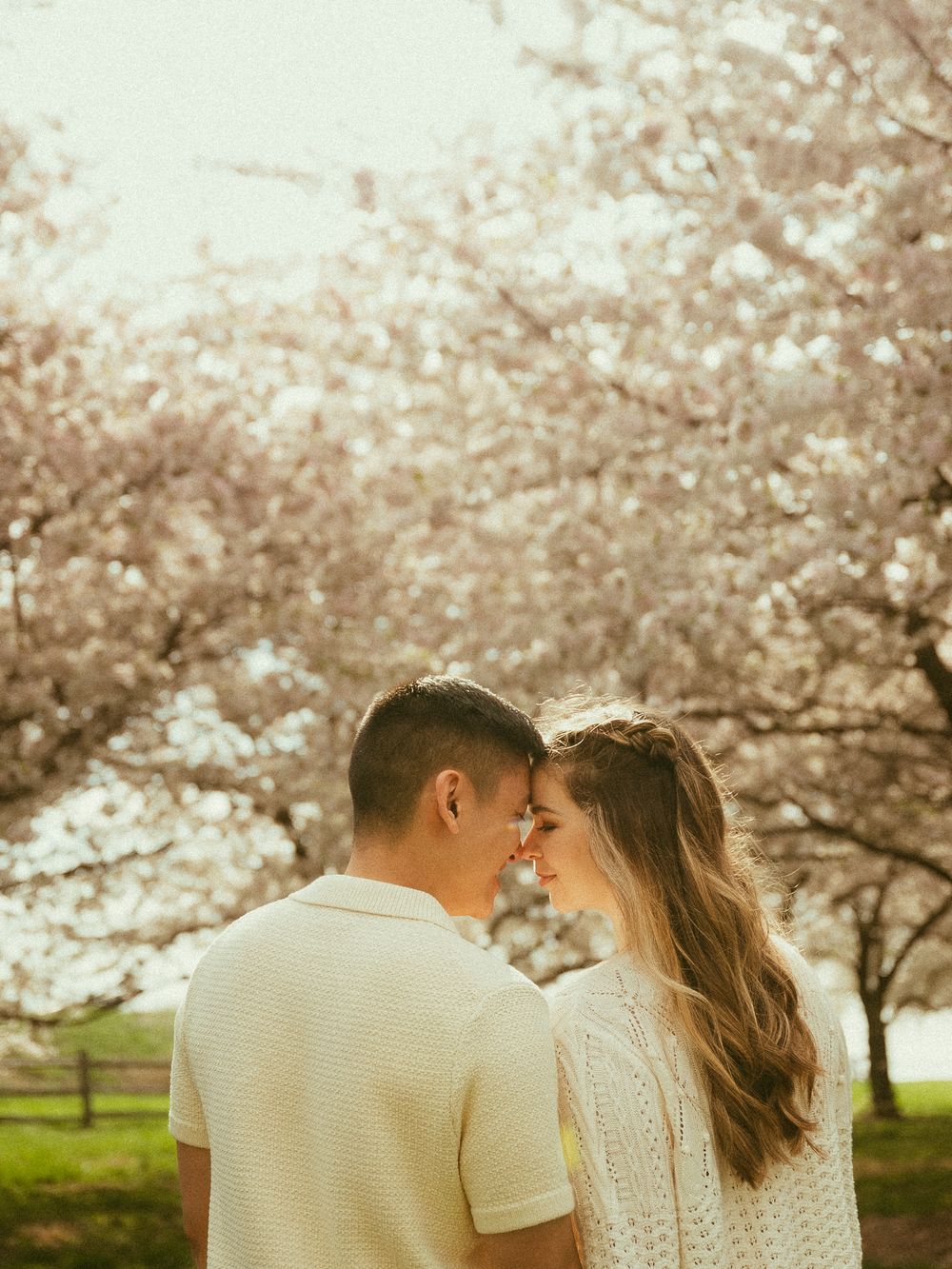 Couple sharing a romantic moment surrounded by blooming cherry blossom trees in spring, both wearing cream outfits.