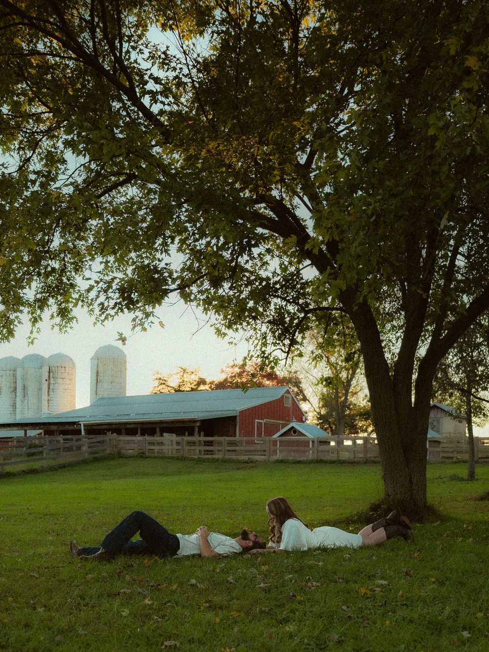 Couple relaxing under a large tree on a farm with red barn and silos in the background.