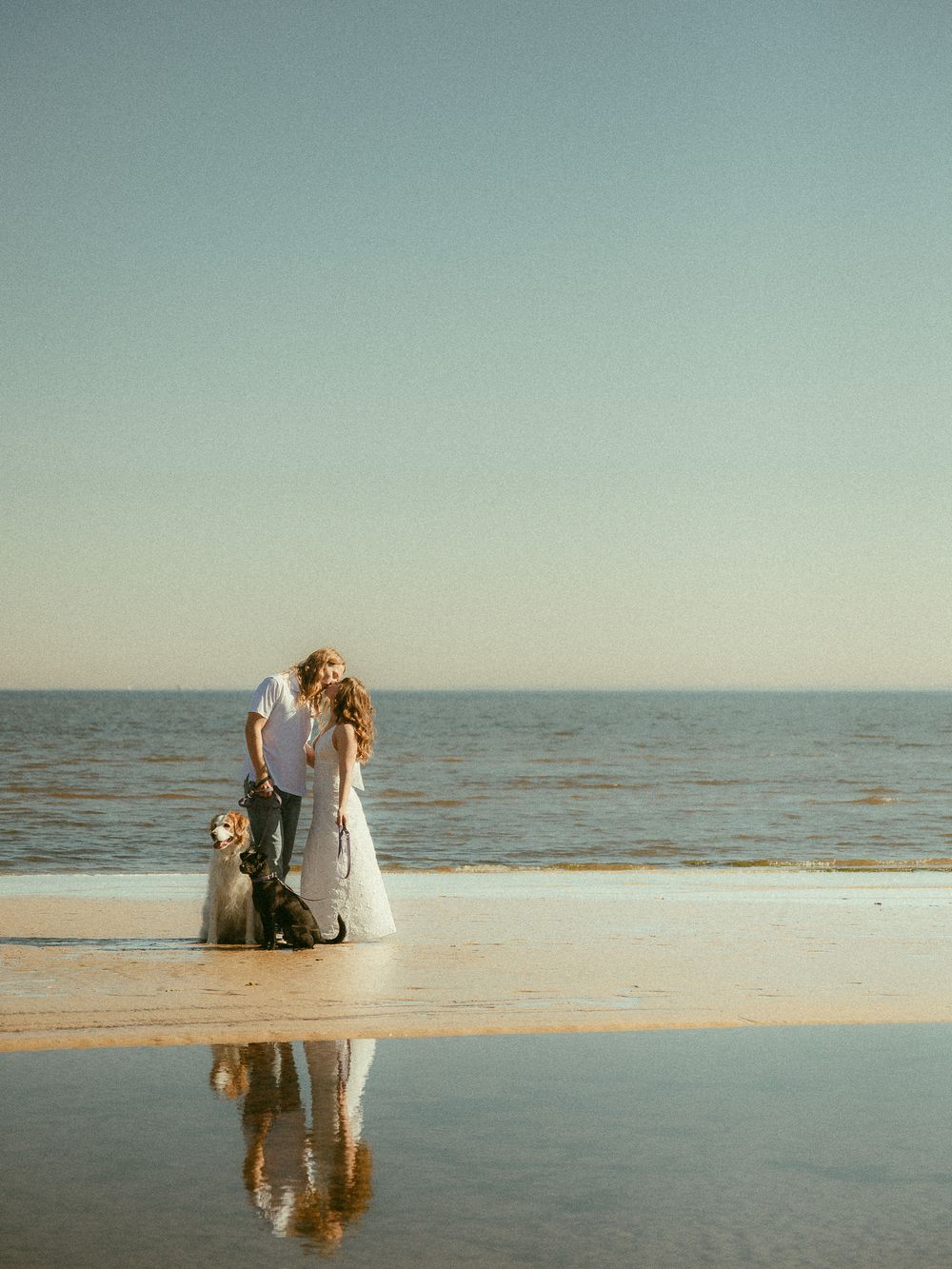A couple in wedding attire shares a kiss on a serene beach with their dog, reflected in the wet sand.