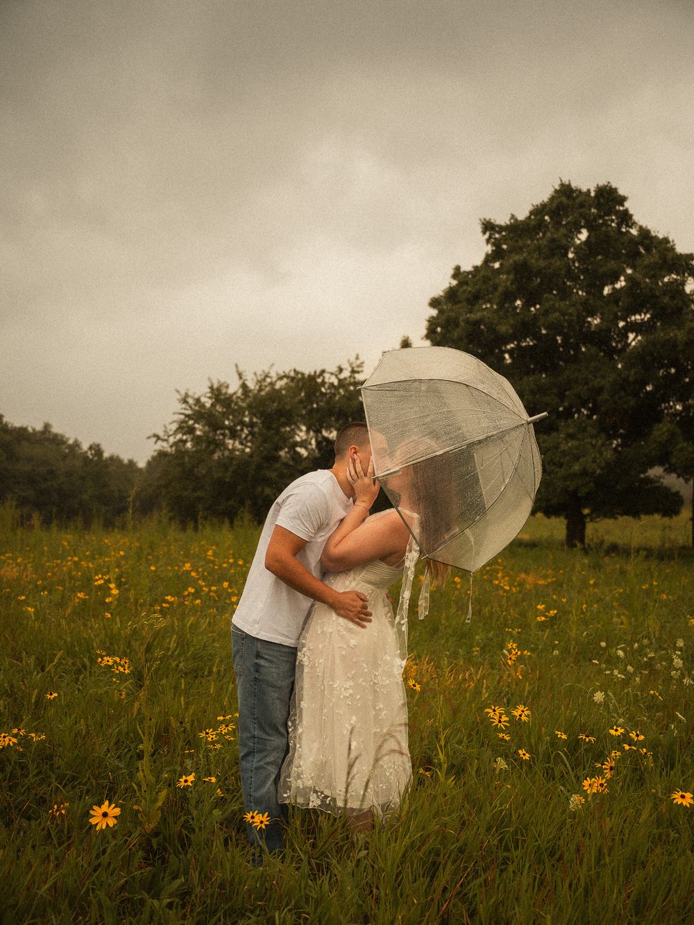 Couple kissing under a clear umbrella in a wildflower field on a rainy day, surrounded by lush greenery.