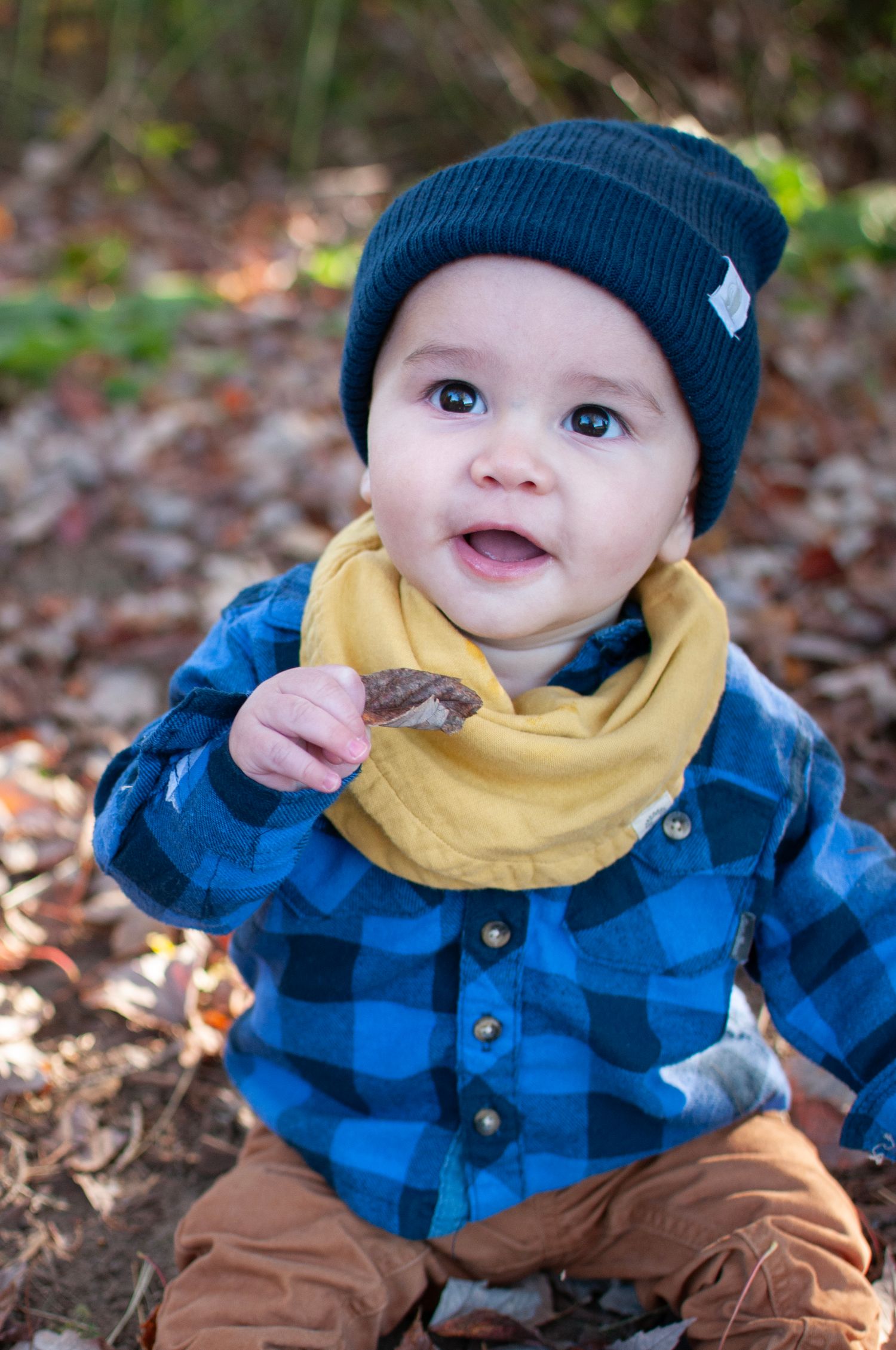 Infant boy in leaves fall photo