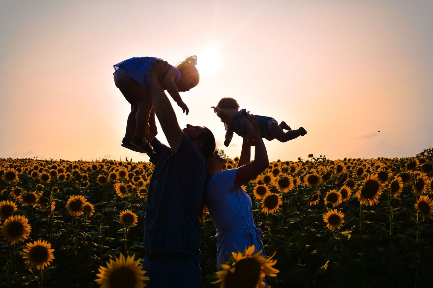 Silhouettes of a family playing in a sunflower field at sunset.