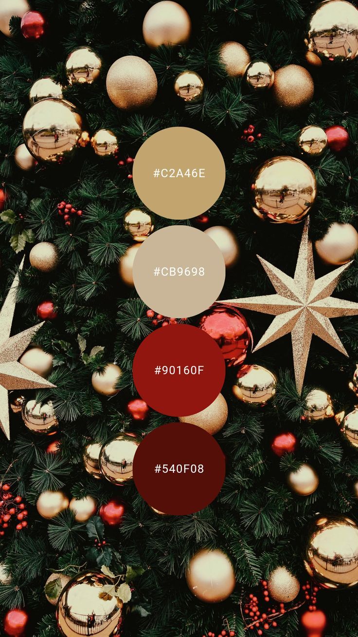 Christmas tree mini Serssion Carmel