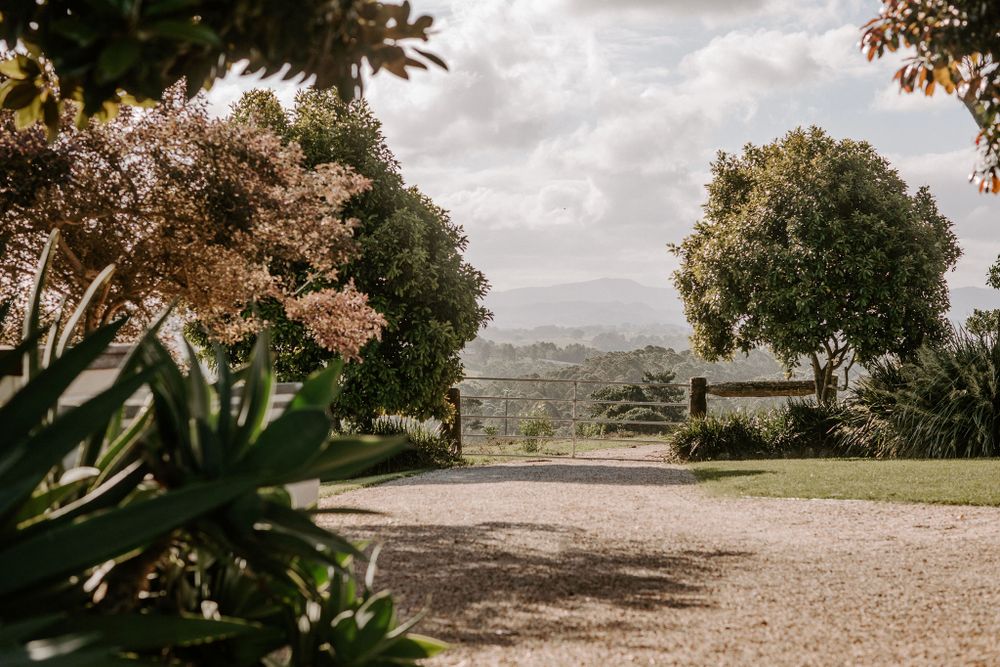 Gravel driveway leading to countryside house with agave plants and trees framing the view.