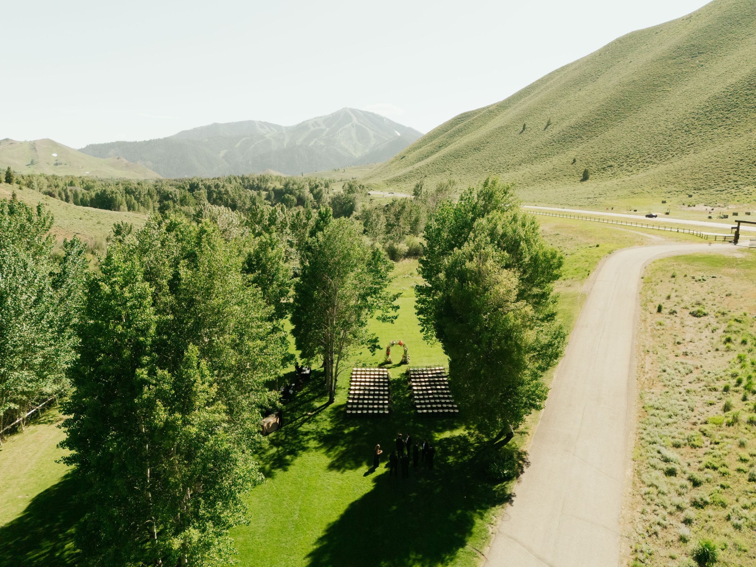 Panoramic view of a winding dirt road through green rolling hills with scattered trees and sagebrush in summer.