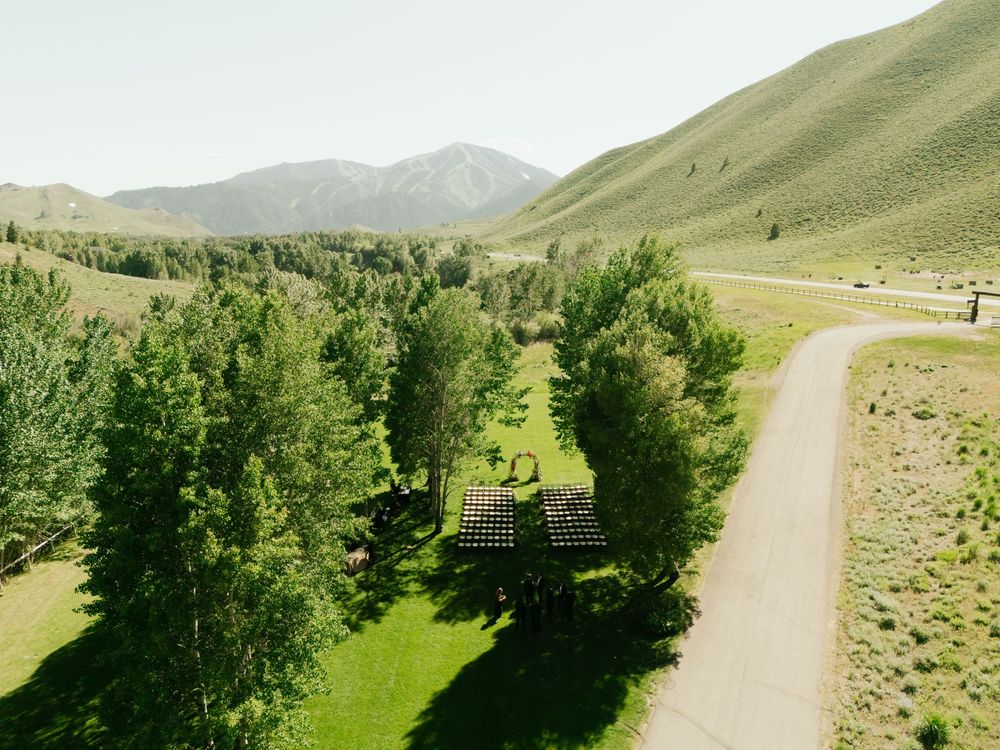 Panoramic view of a winding dirt road through green rolling hills with scattered trees and sagebrush in summer.