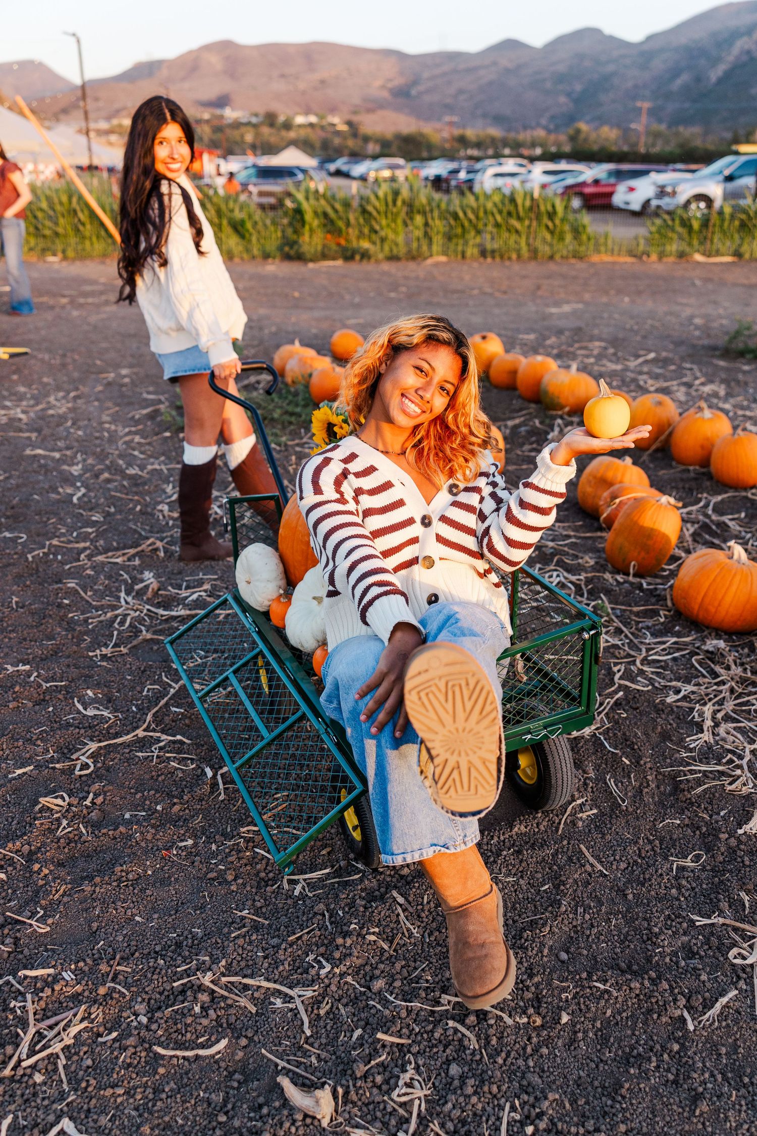 People having fun at a pumpkin patch while sitting in green wheelbarrows at sunset with mountains in background.
