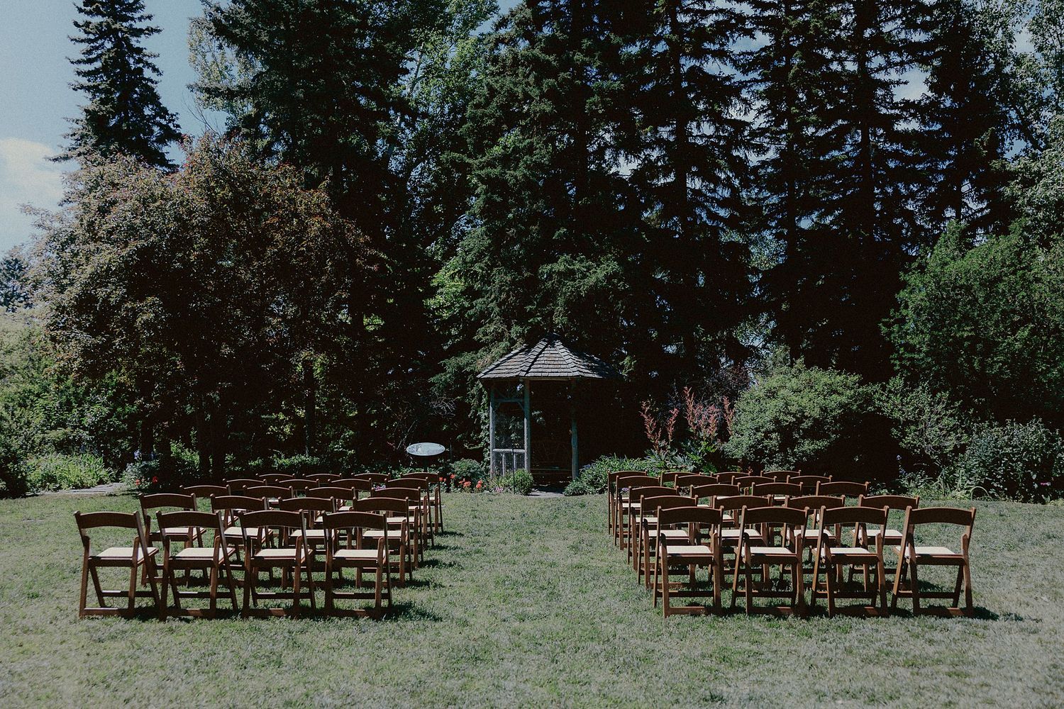 Wooden chairs set up for an outdoor wedding ceremony with tall evergreen trees in the background.
